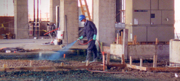 Prime Pest Management Carrollton, Texas ProView